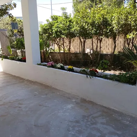 Salva * 갈리폴리