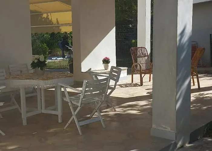 Salva